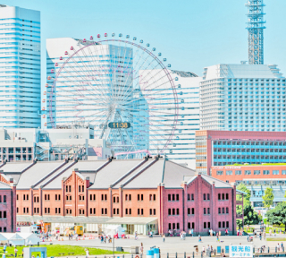 神奈川：エリア(神奈川県)の画像