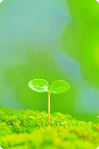 未経験者歓迎：特集求人(未経験者歓迎)の画像